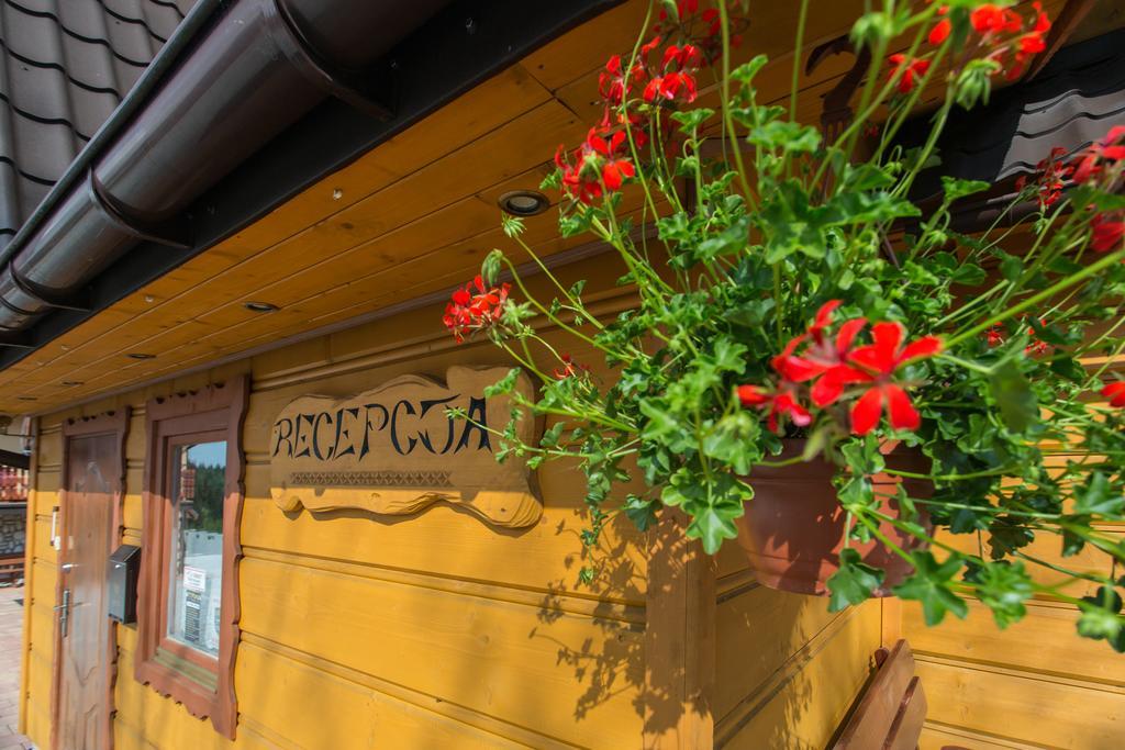Willa Stachoniowka Zakopane Bagian luar foto